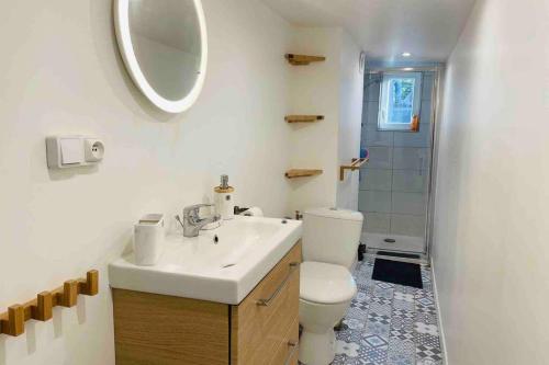 La salle de bains est pourvue d'un lavabo, de toilettes et d'un miroir. dans l'établissement Sous Les Nuages, à Rouen