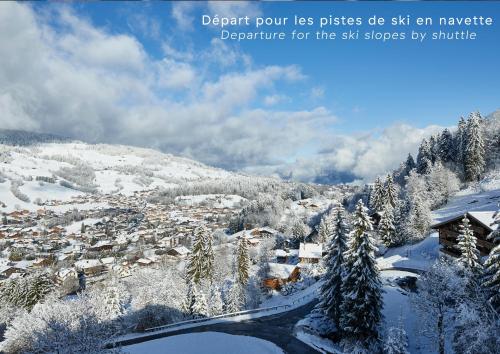 a city covered in snow with a mountain at Hôtel L'Arboisie in Megève