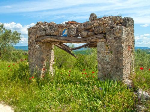 an old stone structure in a field of flowers at Torre Della Chiocciola in Monteriggioni
