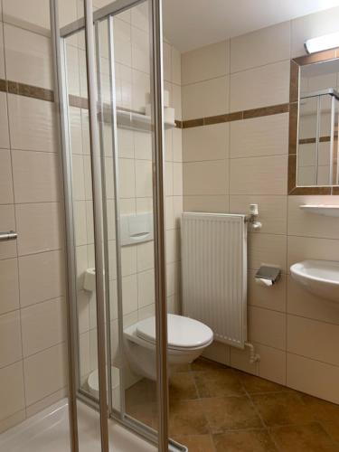 a bathroom with a toilet and a sink at Das Unterwimm in Wagrain