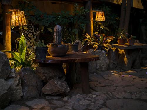 a table with plants on it in a garden at Una Posada Mas in Mazunte