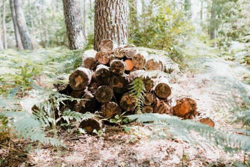 Tiny Stay - Ecolodge – Photos 3
