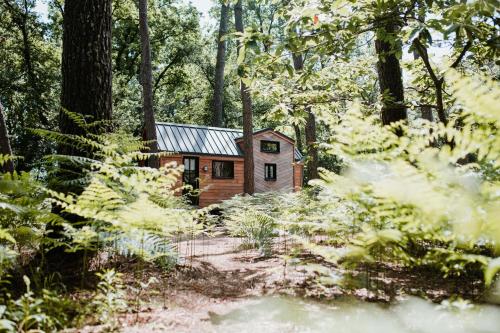 une petite cabine au milieu d'une forêt dans l'établissement Tiny Stay - Ecolodge, à Clefs