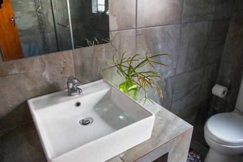 a bathroom with a white sink and a toilet at Altenburgh Accommodation - Apartments in Somerset East