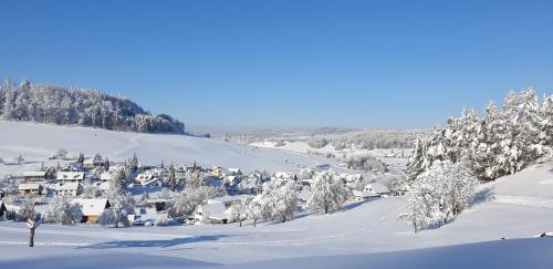a village covered in snow with trees and houses at Ferienhüsli in Siglistorf