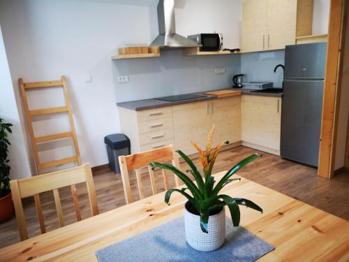 una cocina con una mesa con una maceta. en TriSa apartments Bohinj en Bohinj