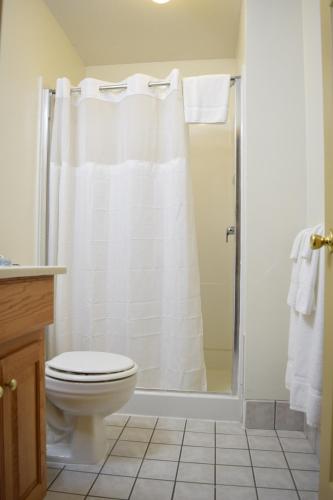 a bathroom with a toilet and a shower at The Otter Lodge in Ottertail