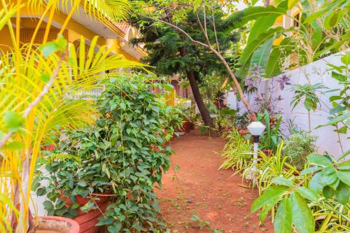 a garden with lots of plants and a pathway at Primavera Holiday Homes-FAMILY RUN GOAN GUEST HOUSE in Candolim