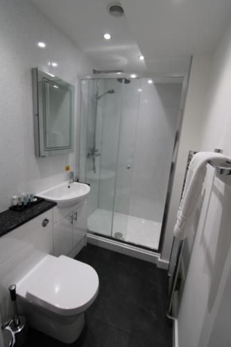 ein Bad mit einer Dusche, einem WC und einem Waschbecken in der Unterkunft Rose and Crown in Goodwick