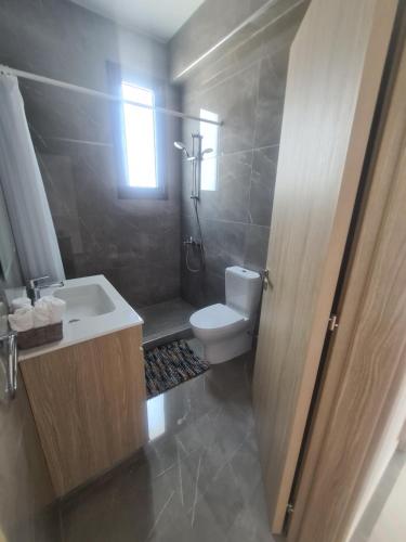 a bathroom with a toilet and a sink and a shower at Eva Luxury Villa in Lachi