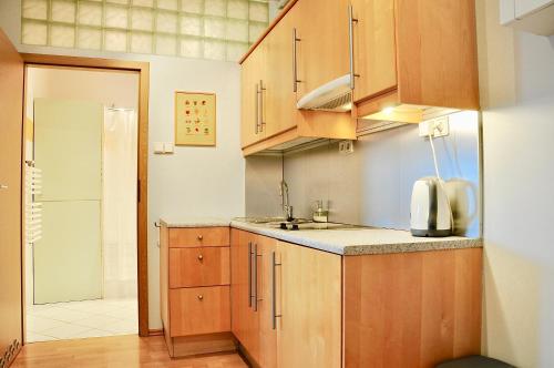 uma pequena cozinha com armários de madeira e um lavatório em Tresor Barska Apartments 2.0 em Cracóvia