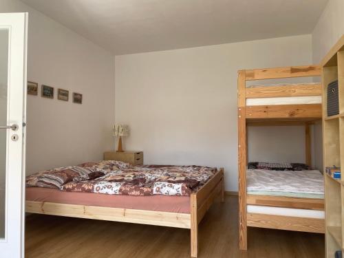 sypialnia z łóżkiem piętrowym i drabiną w obiekcie Apartmán Jakub Sklář w mieście Železná Ruda