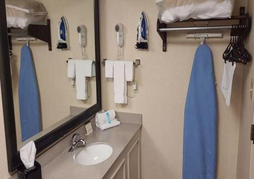 La salle de bains est pourvue d'un lavabo et d'un miroir. dans l'établissement Auburn Place Hotel & Suites Cape Girardeau, à Cap-Girardeau