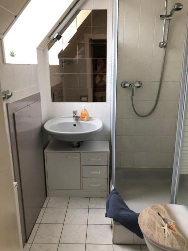 a bathroom with a sink and a shower at Ferienwohnung Max in Rethwisch