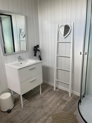 ein Badezimmer mit einem Waschbecken, einem Spiegel und einer Leiter in der Unterkunft L’échappée belle in Sormery
