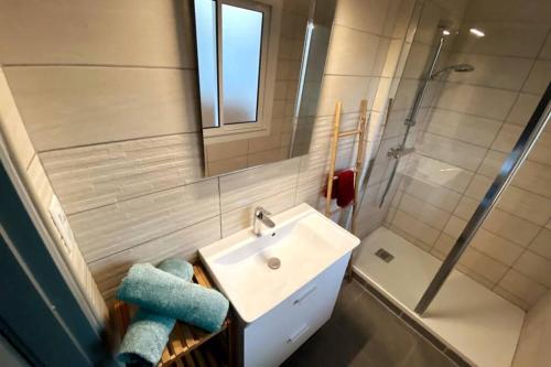 a bathroom with a sink and a shower with a mirror at Appartement T2 Cosy sur Aix in Aix-en-Provence