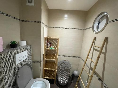 La salle de bains est pourvue de toilettes, d'une échelle et d'un miroir. dans l'établissement Spacieux F2 climatisé proche de la mer, à Antibes