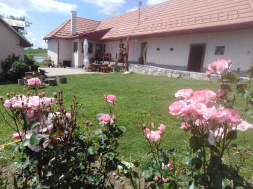 a yard with pink roses in front of a house at Ranč pod Žobrákom in Čekovce