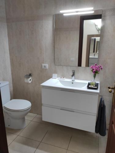 a bathroom with a sink and a toilet and a mirror at FLOR DE PASCUA in Acantilado de los Gigantes