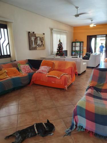 a living room with a couch and a dog laying on the floor at Casa Morada da Praia in Boracéia