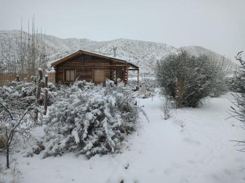 Posta Nehuen Tomillo – Alojamiento en Potrerillos Posta Nehuen Tomillo – Alojamiento en Potrerillos