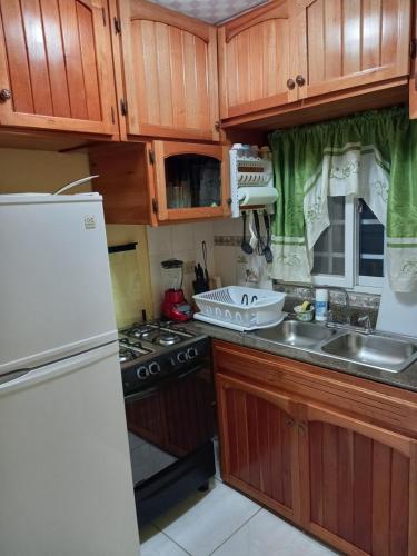 kuchnia z drewnianymi szafkami i białą lodówką w obiekcie Nicol Aparment w mieście Bocas del Toro