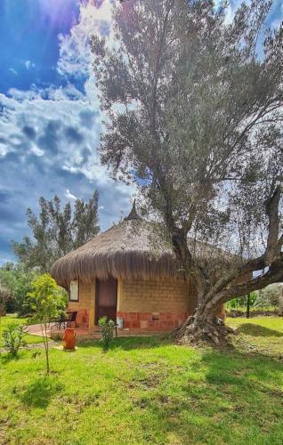 a hut with a tree in front of it at Chalets Sol Muisca RNT85322 in Villa de Leyva