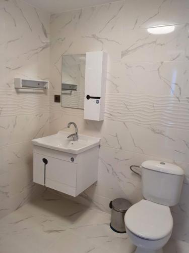 La salle de bains blanche est pourvue de toilettes et d'un lavabo. dans l'établissement Хотел Европа, à Montana