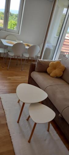 Posezení v ubytování Apartman Ramonda Vrnjacka banja
