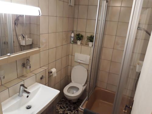 Bathroom sa Schwarzwald Landhaus Leonore mit Alpenblick, Erdgeschosswohnung mit großer Gartenterrasse und Parkplatz
