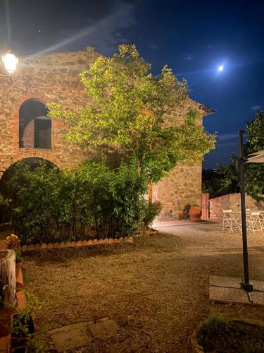 a building with a tree in front of it at night at La Magnolia in Greve in Chianti