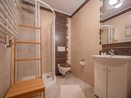 a bathroom with a toilet and a sink and a shower at Willa Szarotka in Gliczarów