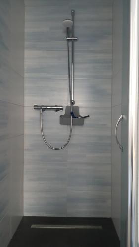 a shower with a shower head in a bathroom at Ferienwohnung auf dem Bauernhof in Großräschen