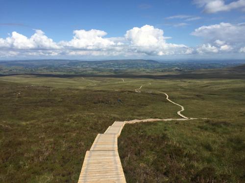 a boardwalk in the middle of a field at Corralea Cottages in Belcoo