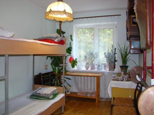 Cette chambre comprend 2 lits superposés et une fenêtre. dans l'établissement Очень уютная, тихая, єко комната с видом на сад, à Vinnytsia