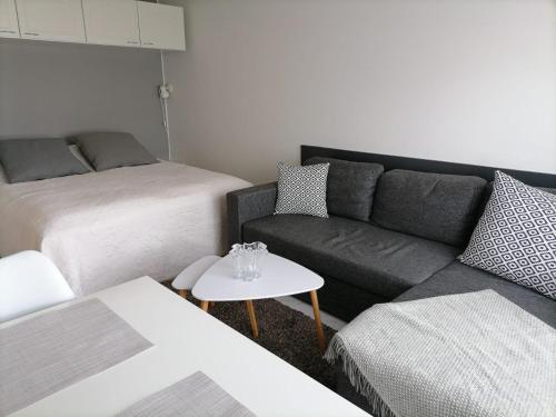 a living room with a couch and a bed at Ylläs Kanerva 102 in Äkäslompolo