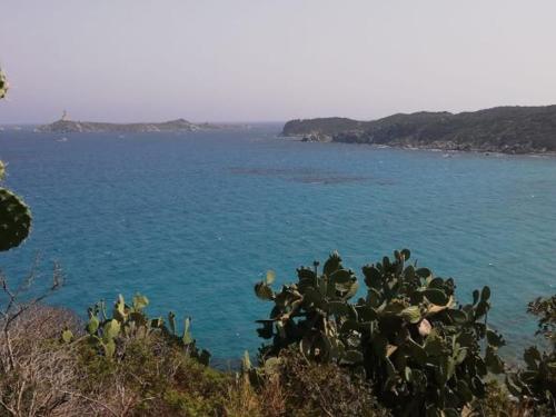 Φυσικό τοπίο κοντά σε αυτός ο ξενώνας
