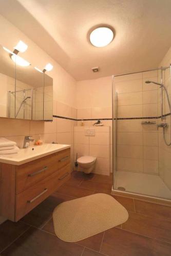 a bathroom with a shower and a sink and a toilet at Pension Zum Lebzelter in Freyung