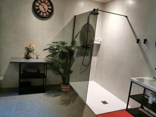 ein Bad mit einer Dusche und einer Uhr an der Wand in der Unterkunft Mica beauty & wellness center in Temse