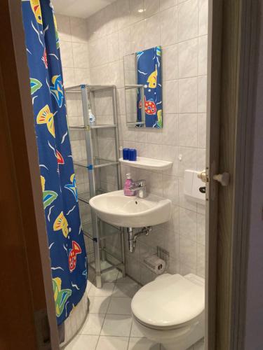 a small bathroom with a toilet and a sink at Pension Tom´s Hütte in Nossen
