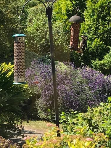 Taman di luar Entire guest house, in Pewsey Vale, Wiltshire
