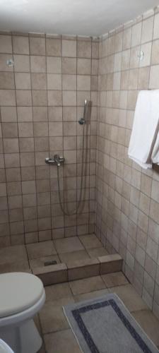 a bathroom with a shower with a toilet and a sink at Asvestoti maisonettes Blue house in Astypalaia Town