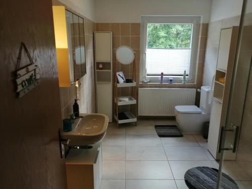 een badkamer met een wastafel, een toilet en een raam bij Apartment am Felsen Züschen in Winterberg