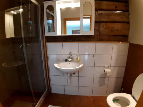 Kúpeľňa v ubytovaní Landhaus Algerhof