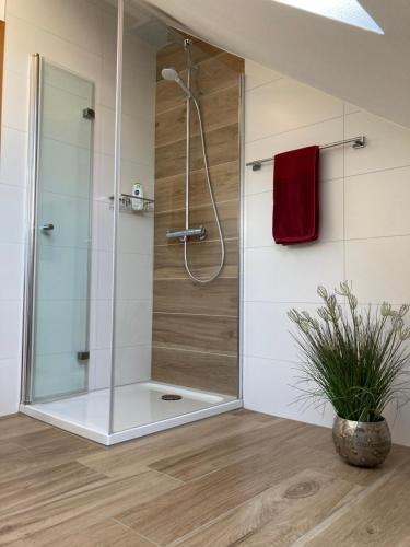 a shower with a glass door in a bathroom at Ferienwohnung Finkenschlag in Speyer