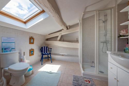 y baño con ducha, aseo y lavamanos. en Les Gîtes de Brives, en Brives-sur-Charente