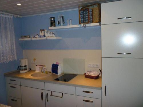 eine Küche mit einer Spüle und einem weißen Kühlschrank in der Unterkunft Fewo Rabe in Lauterbach