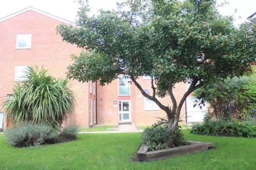 a tree in a yard in front of a brick building at Archery Close in Harrow Weald