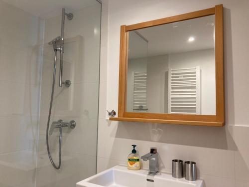a bathroom with a shower and a sink and a mirror at Ferienwohnung Panorama in Forchheim