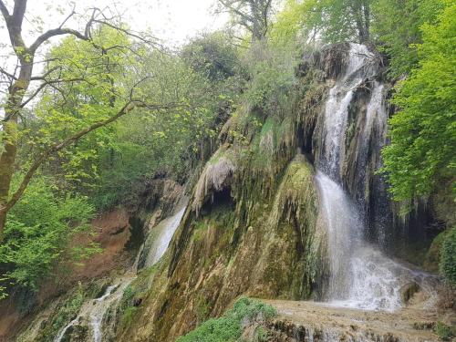 a waterfall in the middle of a forest at Pensiunea IULIA in Rod